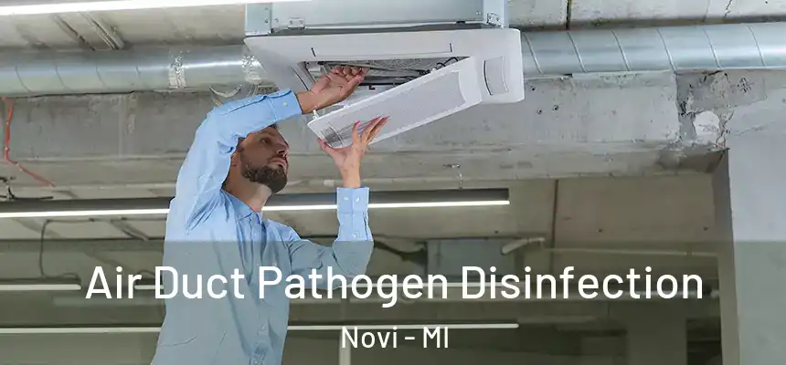  Air Duct Pathogen Disinfection Novi - MI