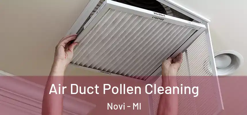  Air Duct Pollen Cleaning Novi - MI