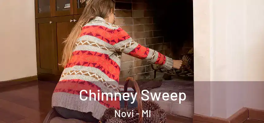  Chimney Sweep Novi - MI
