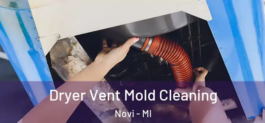  Dryer Vent Mold Cleaning Novi - MI