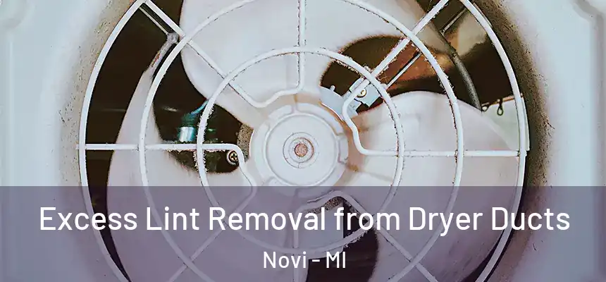  Excess Lint Removal from Dryer Ducts Novi - MI