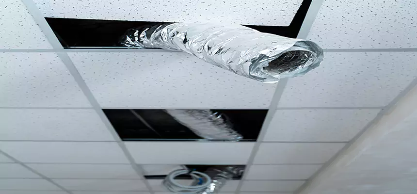 Our Air Duct Pet Hair Removal Services in Novi, MI