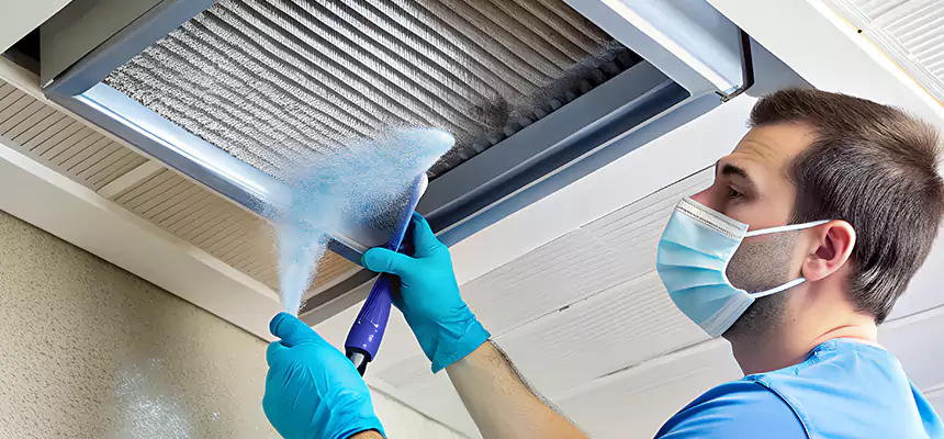 Proactive Dryer Vent & Auxiliary Duct Pollen Cleanup in Novi, MI