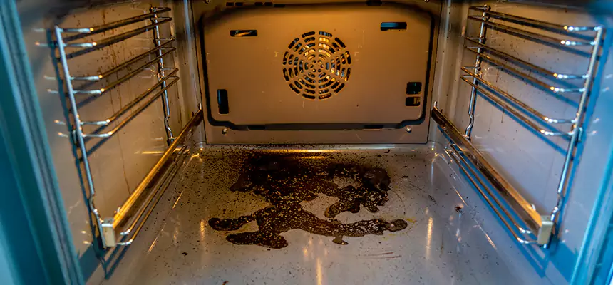 Our Air Purifier Installation Services in Novi, MI