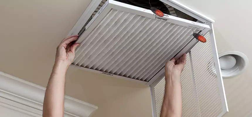 Our Insect Removal from Air Ducts Services in Novi, MI