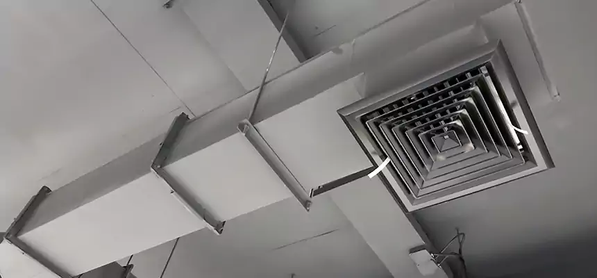 Our Rodent Droppings In Vents Services in Novi, MI