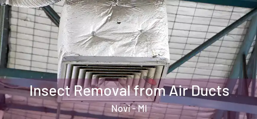  Insect Removal from Air Ducts Novi - MI