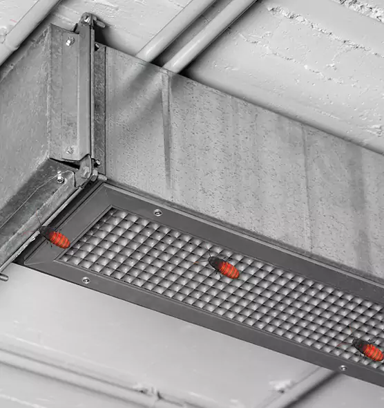 About Air Duct Cockroach Removal in Novi, MI