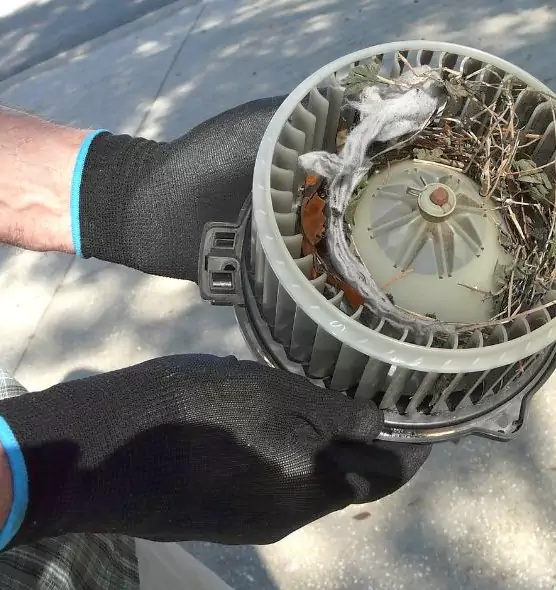 About Air Duct Rat Removal in Novi, MI